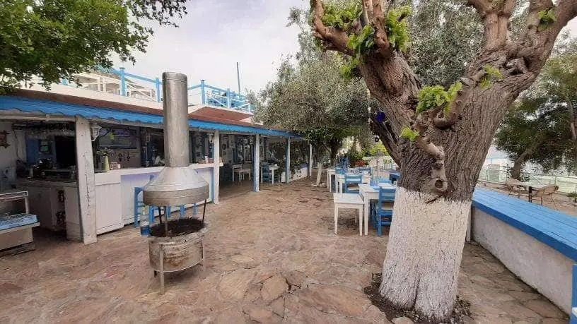 Sardelaki Greek Tavern'nin yemek ve ambiyans fotoğrafları 17
