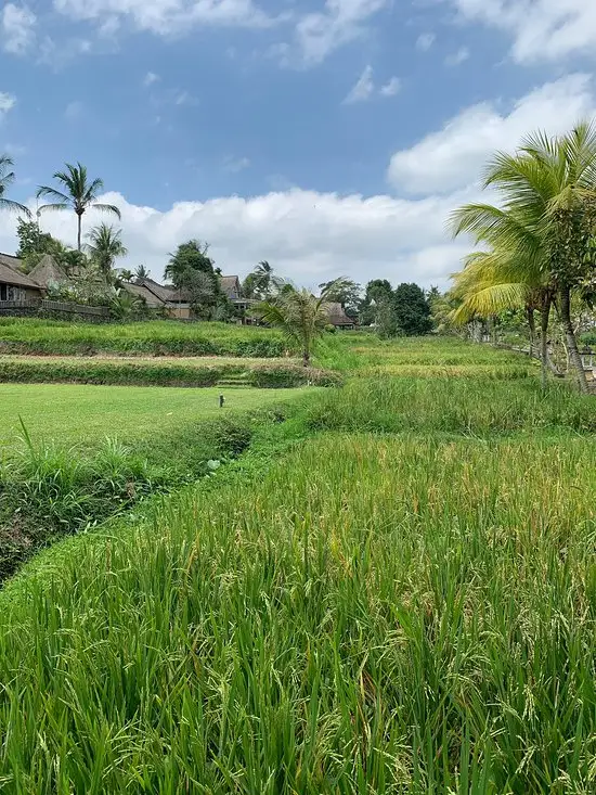 Gambar Makanan Mr. Wayan, Balinese Cuisine 15