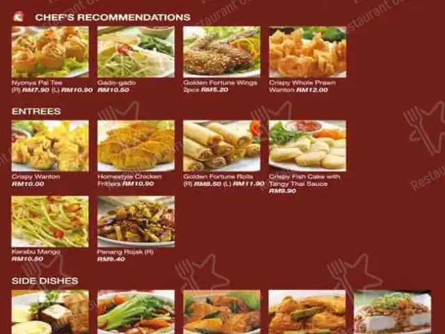 The Chicken Rice Shop Plaza Shah Alam Food Photo 8