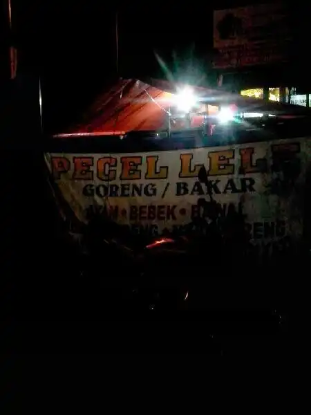 Gambar Makanan Lele Bakar (Depan ASMI Desanta) 2