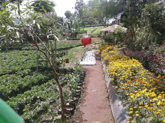 Gambar Makanan Bali Strawberry Farm & Restaurant 4