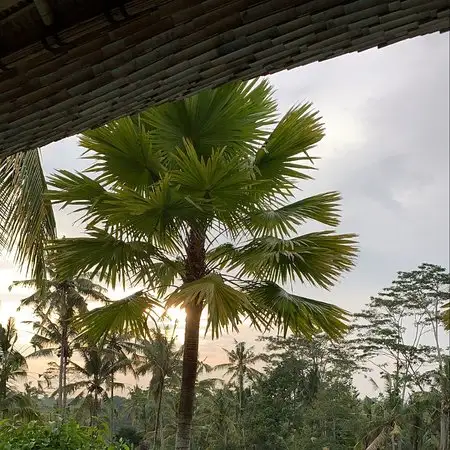 Gambar Makanan Koko Bambu Restaurant 16