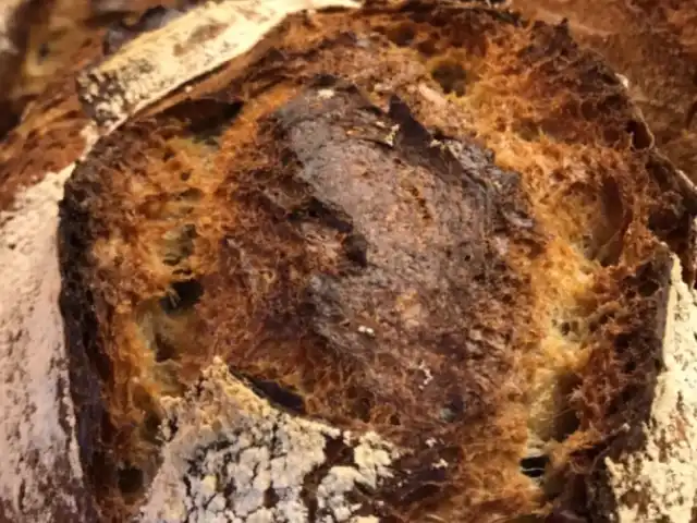 Pelinin Ekmeği'nin yemek ve ambiyans fotoğrafları 8