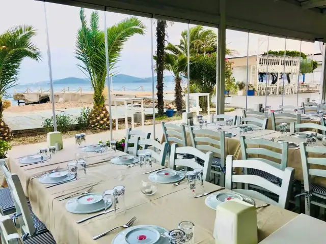 Teos Beach Club'nin yemek ve ambiyans fotoğrafları 4