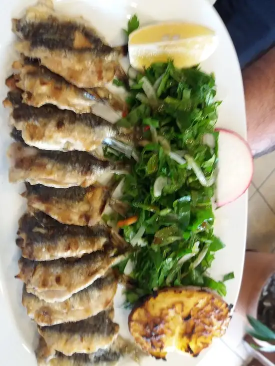 Marina Balık'nin yemek ve ambiyans fotoğrafları 15