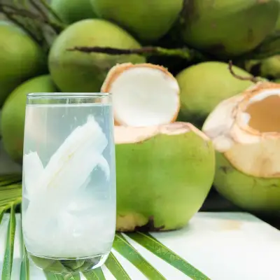 Coconut Shake Dan Air Kelapa Muda