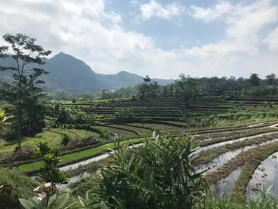 Gambar Makanan Warung Telaga Sidemen 20