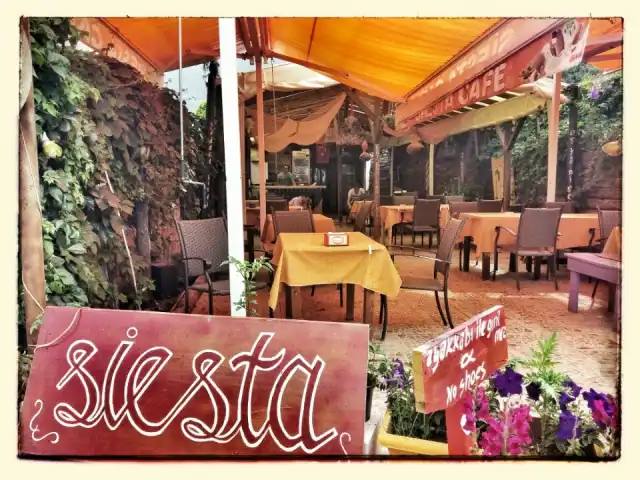 Siesta Cafe'nin yemek ve ambiyans fotoğrafları 11
