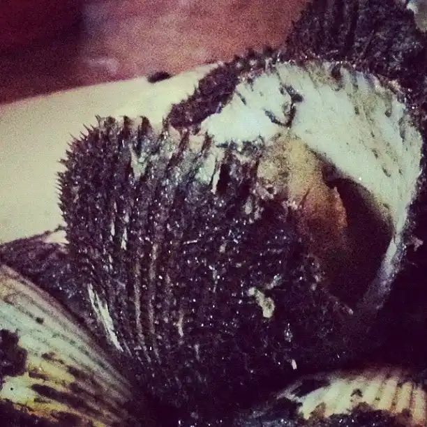 Kerang Mak Siti Food Photo 1