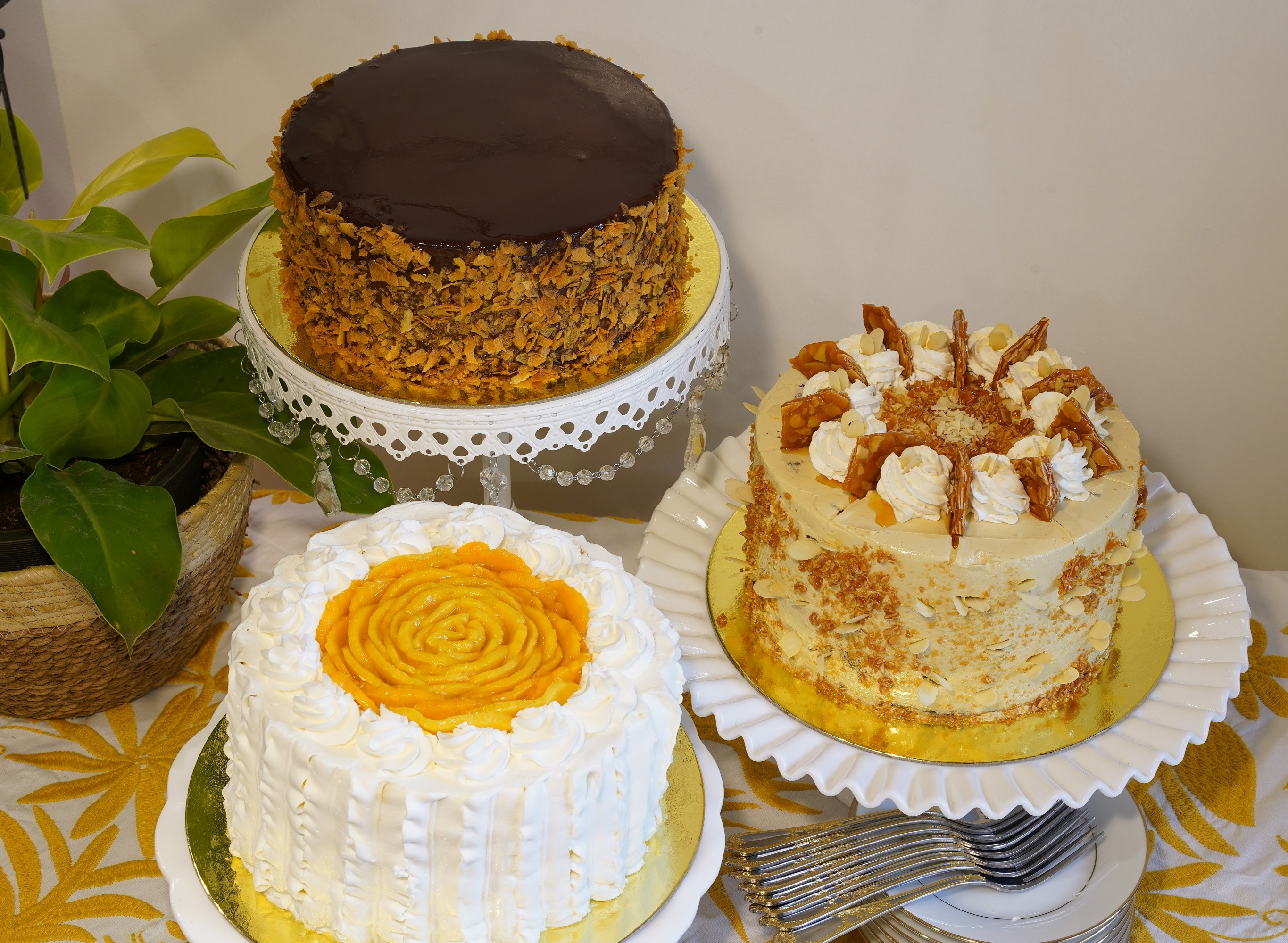 Dynamix Home of Cakes and Pastries Zamora menu price 20222023 near