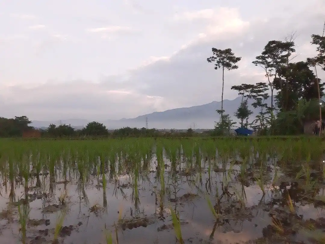 Kampung Muara Sunda