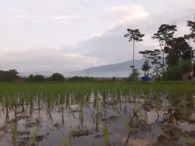 Gambar Makanan Kampung Muara Sunda 1