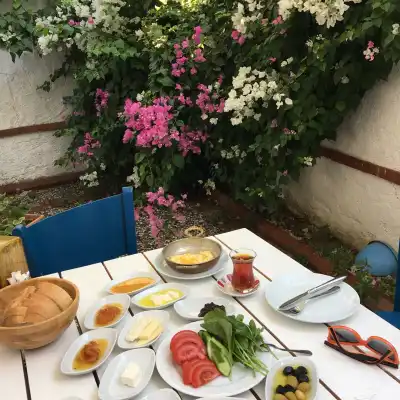 Zeytin Dalı