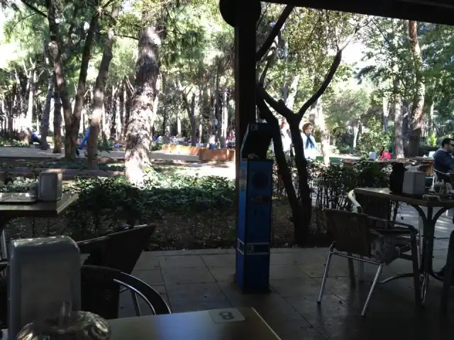 Kriton Curi Park Cafe'nin yemek ve ambiyans fotoğrafları 5