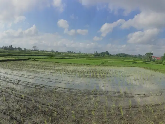 Gambar Makanan Warung Gueek 8