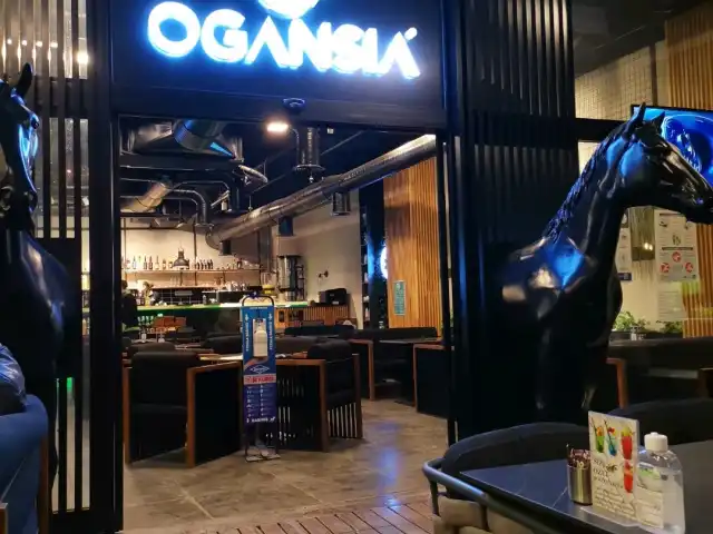 Ogansıa Cafe'nin yemek ve ambiyans fotoğrafları 14