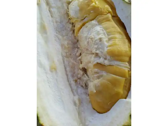 Bentong Durian Stall Food Photo 7