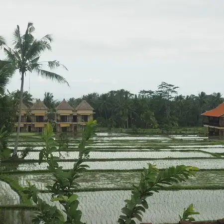 Ubud Float Garden