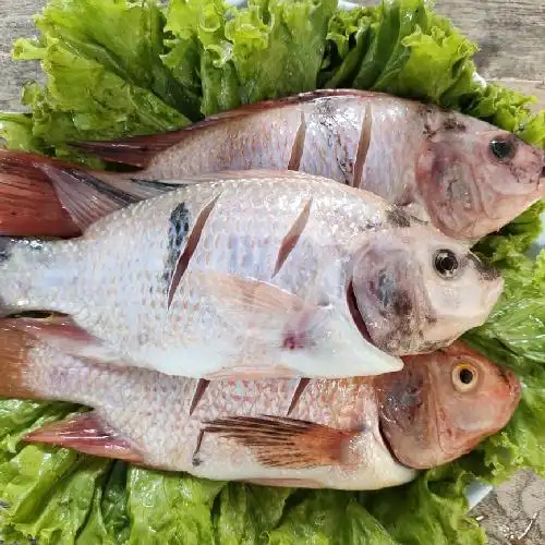 Gambar Makanan pecel ayam bang ben 8