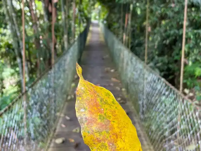 Gambar Makanan Bali Pulina Agro Wisata 7