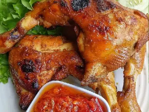 Ayam Indus Tenan, Cinere