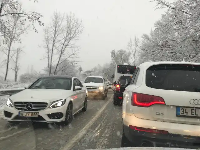 Aşiyan Tesisleri'nin yemek ve ambiyans fotoğrafları 14