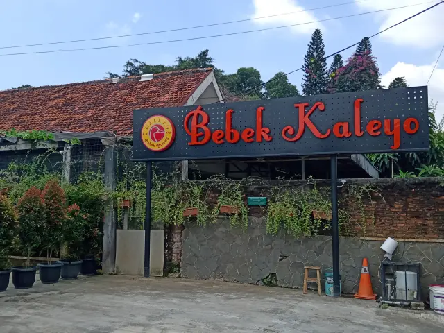 Gambar Makanan Bebek Kaleyo 3