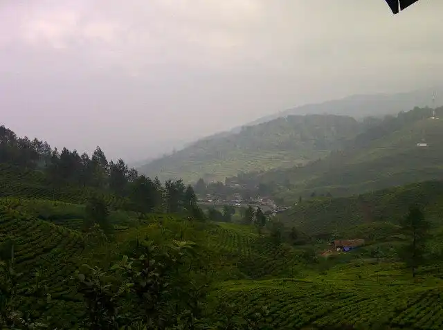 Gambar Makanan Warung Mang Ade Puncak 8