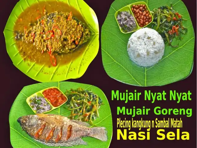 Gambar Makanan Warung Mujair Nyat - Nyat 2