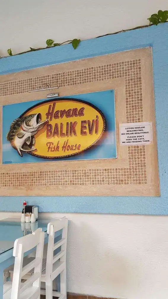 Havana Balık Evi'nin yemek ve ambiyans fotoğrafları 13
