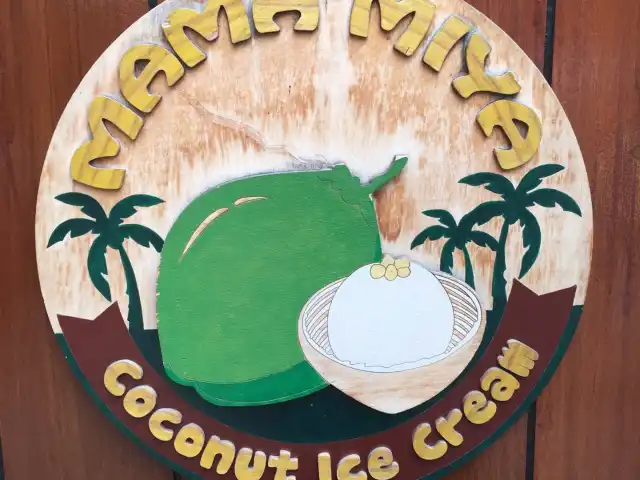 Mamma-Mia Coconut Ice Cream Food Photo 8