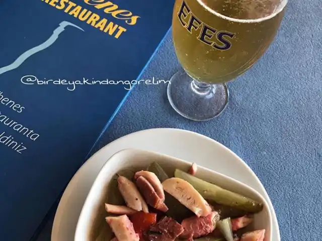 Thenes Restaurant'nin yemek ve ambiyans fotoğrafları 60