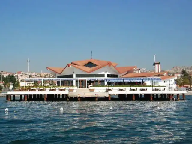 Albatros Restaurant'nin yemek ve ambiyans fotoğrafları 5