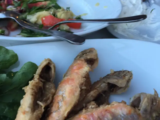 Deniz Restaurant'nin yemek ve ambiyans fotoğrafları 19