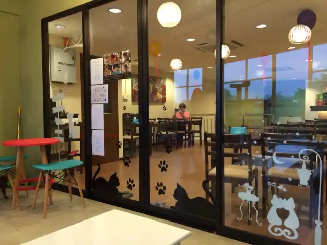 Meow Meow Cat Café Food Photo 13