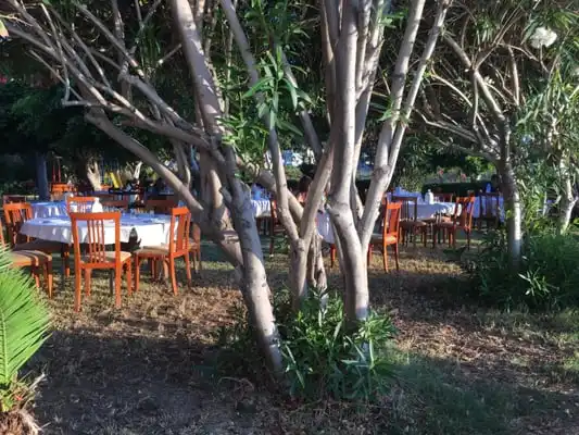 Sirinyer Restaurant'nin yemek ve ambiyans fotoğrafları 3