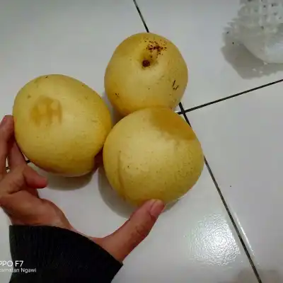 Toko BUAH "ABC" NGAWI