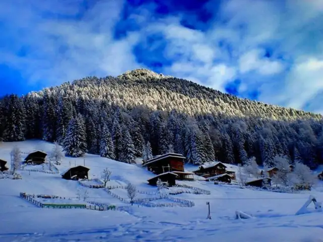 Yayla Karadeniz'nin yemek ve ambiyans fotoğrafları 37