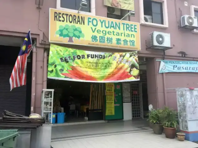 Fo Yuan Tree