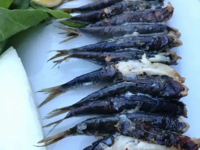 Trilye Balık'nin yemek ve ambiyans fotoğrafları 32