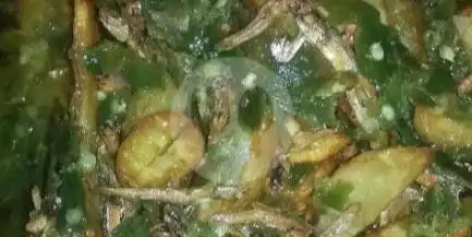 Masakan Rumahan Ibu, Sukajadi Riau