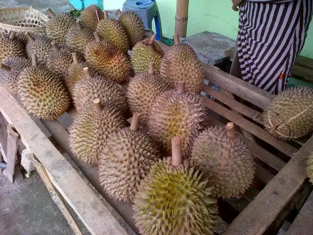 Gambar Makanan Duren Pasar Matesih 4