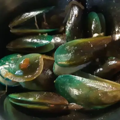 Kerang Blenger Jogja