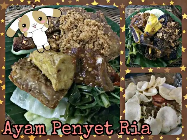Ayam Penyet Ria Food Photo 3