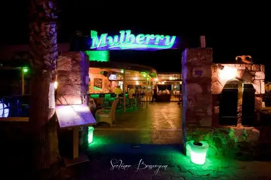 Mulberry'nin yemek ve ambiyans fotoğrafları 10
