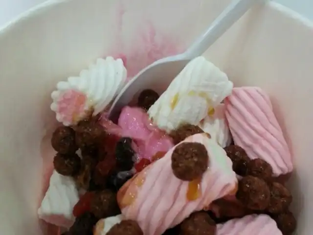 Snogurt Food Photo 5