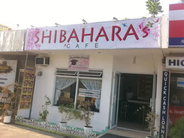 Shibahara's Cafe Food Photo 2