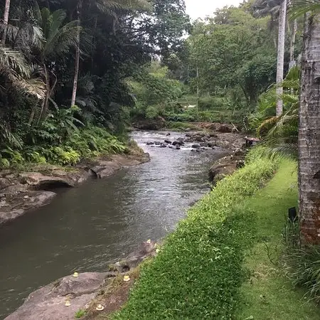 Gambar Makanan Swept Away at The Samaya Ubud 12