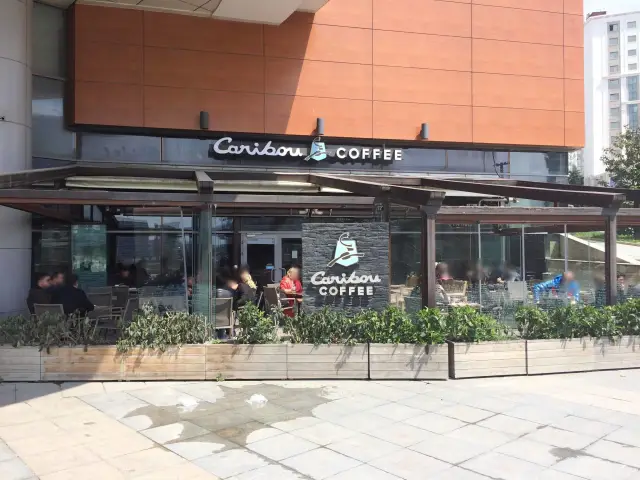 Caribou Coffee'nin yemek ve ambiyans fotoğrafları 9