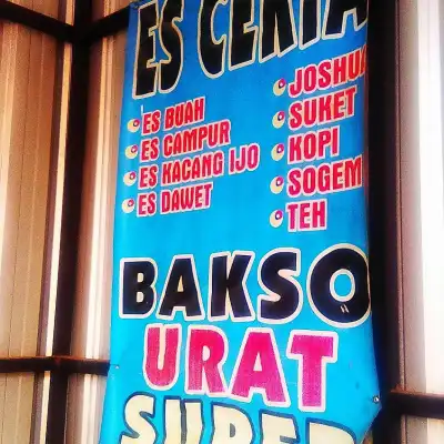 Es Ceria